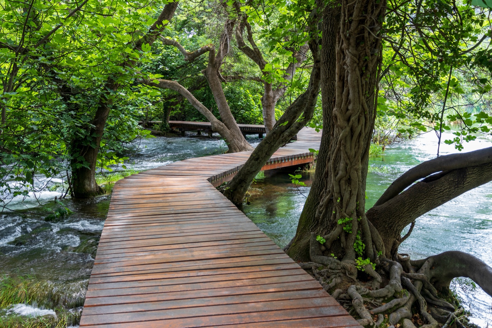 A wooden boardwalk winding between trees over fast-flowing water in Krka National Park